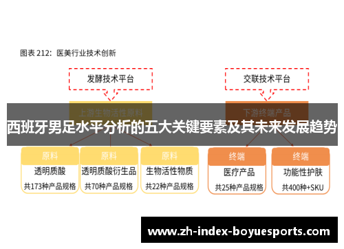 西班牙男足水平分析的五大关键要素及其未来发展趋势