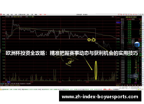 欧洲杯投资全攻略:精准把握赛事动态与获利机会的实用技巧 欧洲杯投资全攻略:精准把握赛事动态与获利机会的实用技巧