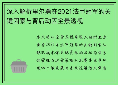 深入解析里尔勇夺2021法甲冠军的关键因素与背后动因全景透视