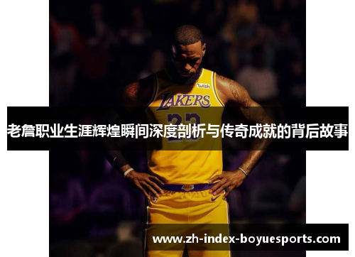 老詹职业生涯辉煌瞬间深度剖析与传奇成就的背后故事