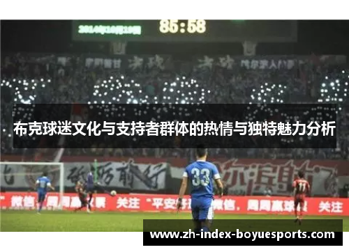 布克球迷文化与支持者群体的热情与独特魅力分析