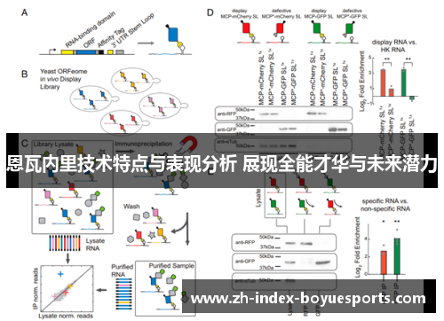 恩瓦内里技术特点与表现分析 展现全能才华与未来潜力 恩瓦内里技术特点与表现分析 展现全能才华与未来潜力