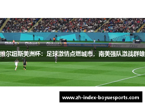 维尔纽斯美洲杯：足球激情点燃城市，南美强队激战群雄