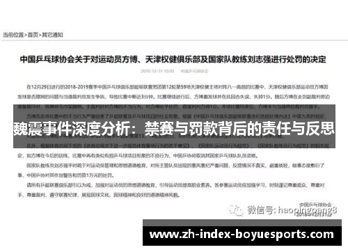 魏震事件深度分析:禁赛与罚款背后的责任与反思 魏震事件深度分析:禁赛与罚款背后的责任与反思