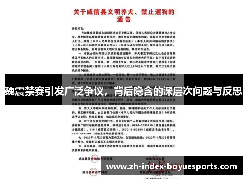 魏震禁赛引发广泛争议,背后隐含的深层次问题与反思 魏震禁赛引发广泛争议,背后隐含的深层次问题与反思